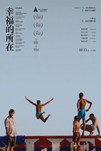 安全领域