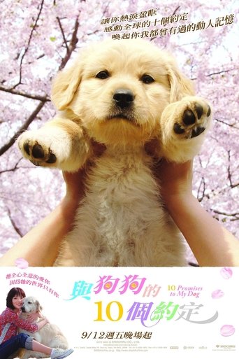 狗狗与我的十个约定