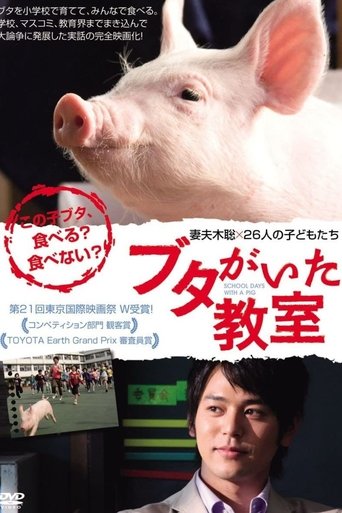 小猪教室