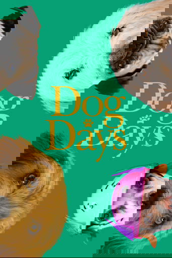 狗狗之日