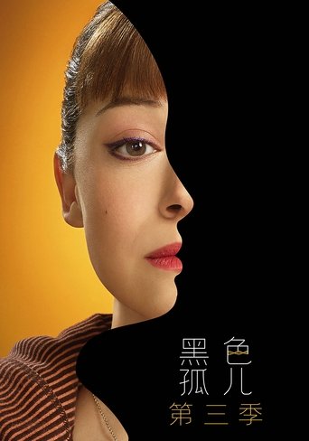 黑色孤儿 第 3 季