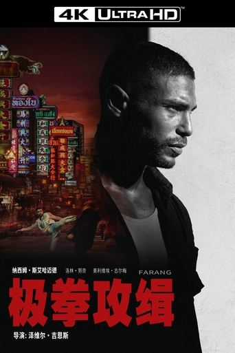 极拳攻缉