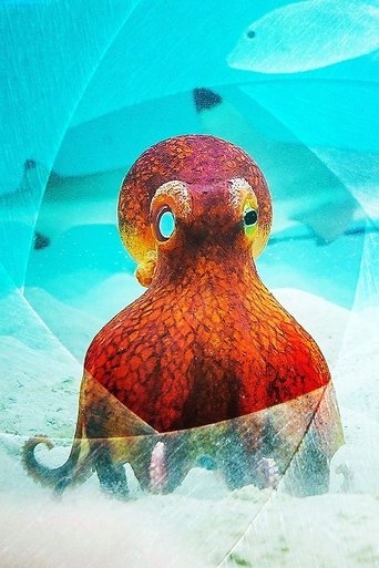 海洋间谍 第 1 季