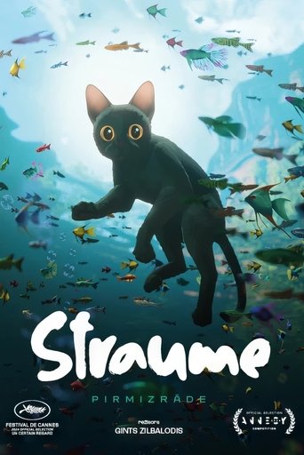 猫猫的奇幻漂流