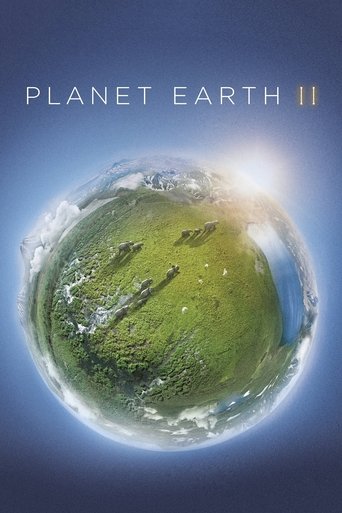 地球脉动2 地球脉动2 地球脉动2