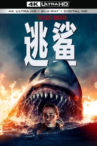 逃鲨
