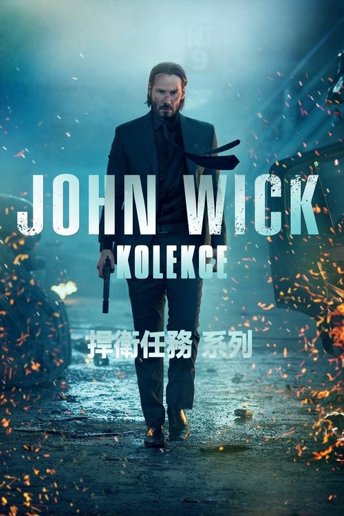 疾速追杀(系列)