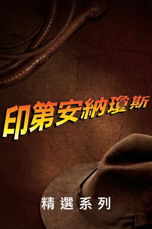 夺宝奇兵(系列)