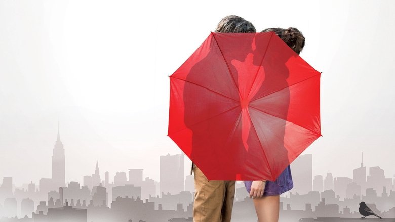 纽约的一个雨天